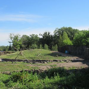 Journey to Churchill - Woodland Caribou Exhibit