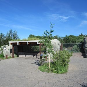 Journey to Churchill - Arctic Fox Exhibit Viewing Plaza