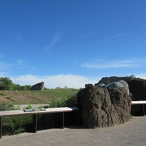 Journey to Churchill - Muskox Exhibit Viewing Area