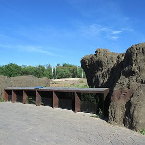 Journey to Churchill - Muskox Exhibit Viewing Area