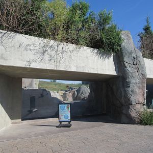 Journey to Churchill - Polar Bear Exhibit #1