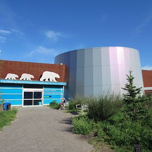 Journey to Churchill - Gateway to the Arctic