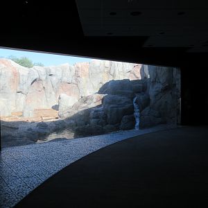 Journey to Churchill - Polar Bear Exhibit #2 Viewing Area