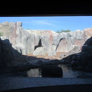 Journey to Churchill - Polar Bear Exhibit #2