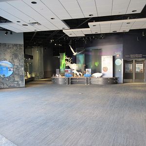 Journey to Churchill - Gateway to the Arctic Viewing Area