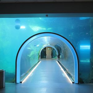 Journey to Churchill - Polar Bear Exhibit #2