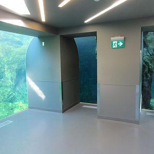 Journey to Churchill - Polar Bear + Harbour Seal Exhibits