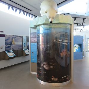 Journey to Churchill - International Polar Bear Conservation Centre