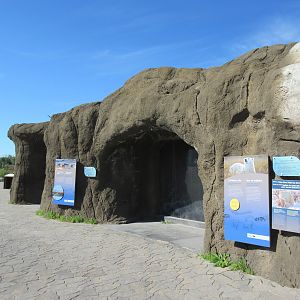 Journey to Churchill - Polar Bear Exhibit #3