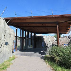 Journey to Churchill - Polar Bear Exhibit #3