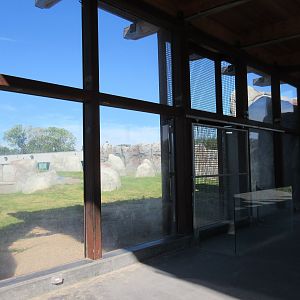 Journey to Churchill - Polar Bear Exhibit #3