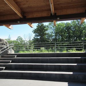 Journey to Churchill - Polar Bear Exhibit #3 Viewing Area