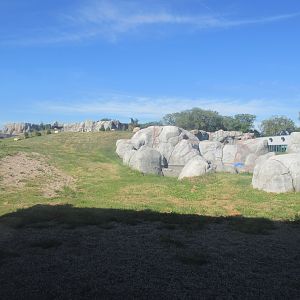 Journey to Churchill - Polar Bear Exhibit #3
