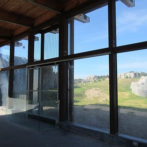 Journey to Churchill - Polar Bear Exhibit #3 + Training Wall