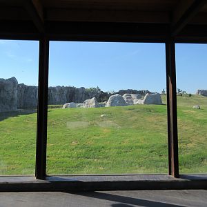 Journey to Churchill - Polar Bear Exhibit #3