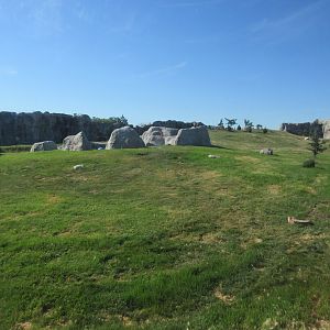 Journey to Churchill - Polar Bear Exhibit #3