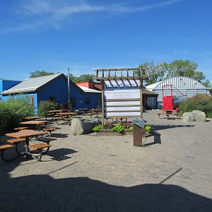 Journey to Churchill - The Town