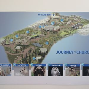 Journey to Churchill - Beautiful Map