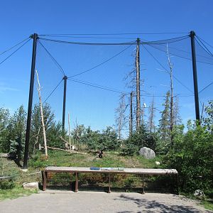 Journey to Churchill - Snowy Owl Aviary (huge!)