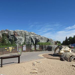 Journey to Churchill - Bowhead Whale Sandbox