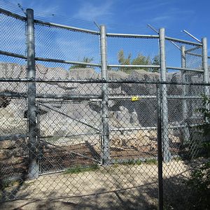 Journey to Churchill - Polar Bear Exhibit #5 (Cub Care Centre)