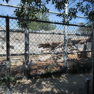 Journey to Churchill - Polar Bear Exhibit #6 (Cub Care Centre)