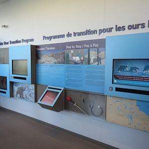 Journey to Churchill - International Polar Bear Conservation Centre