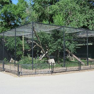 Snow Leopard Complex (a set of 3 exhibits)