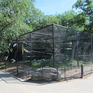 Snow Leopard Complex (a set of 3 exhibits)
