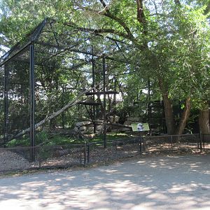 Snow Leopard Complex (a set of 3 exhibits)