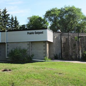 Prairie Outpost Complex (Burrowing Owls + Bald Eagles)