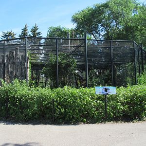 Prairie Outpost - Bald Eagle Exhibit