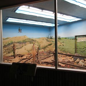 Prairie Outpost - Burrowing Owl Exhibit