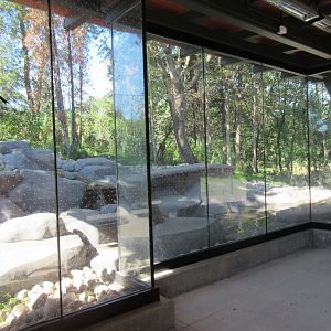 Grey Wolf Exhibit - New in 2018