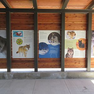 Grey Wolf Exhibit - New in 2018