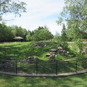 Red Kangaroo Exhibit