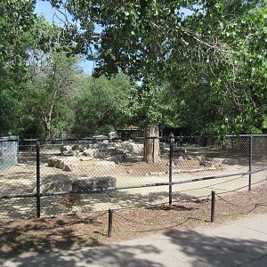 Stone Sheep Exhibit