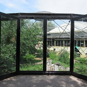 White-handed Gibbon Exhibit - New in 2017