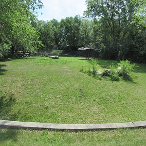 Demoiselle Crane Exhibit