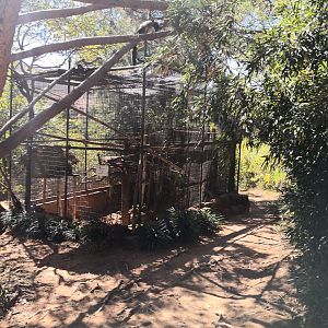 Rehab/Quarantine pen