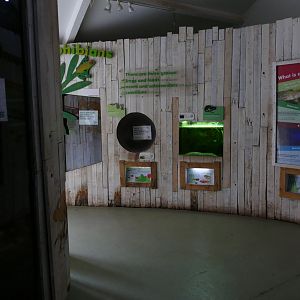 Amphibian Ark, July 2018