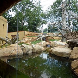 Part of the Jaguar exhibit