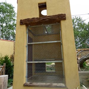 Jaguar training area