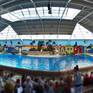 Jul. 2018 - Seven Seas Dolphin Amphitheater Panorama