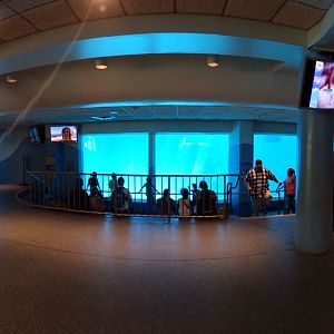 Jul. 2018 - Seven Seas - Underwater Viewing Panorama