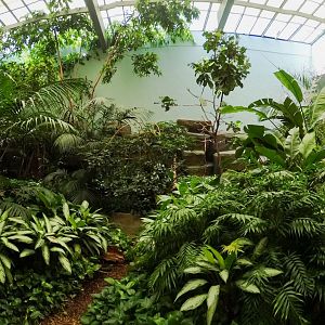 Jul. 2018 - Feathers & Scales - Main Aviary Panorama (16 Species)