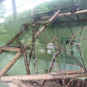 Indoor exhibit for lemurs