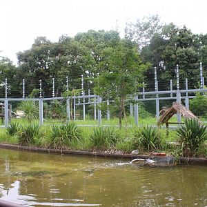 Outdoor exhibit for lemurs