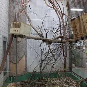 Exhibit for marmoset