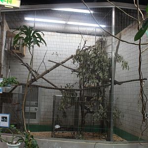 Titi exhibit (smaller cage for red-handed tamarin)